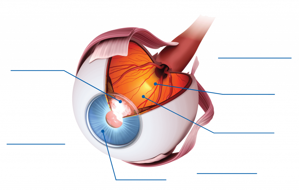 Serious Health Conditions Eye